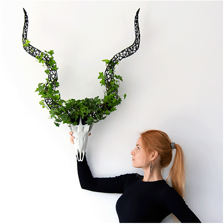 an originally designed interpretation of Kudu in the form of a 3D printed skull with openwork horns featuring a flowerpot function, intended as a wall decoration